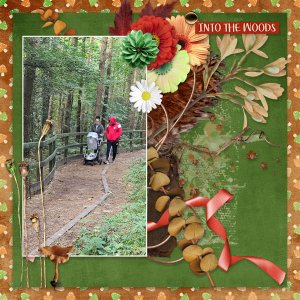 Into The Woods