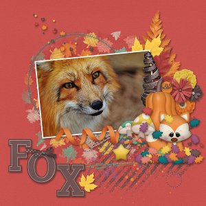 Fox