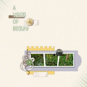 A Vision of Beauty