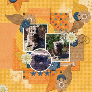 #2022 November bundle by Connie Prince