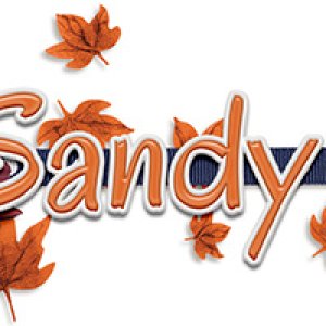 Nov Siggie