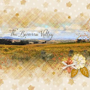 Autumn in the Barossa Valley