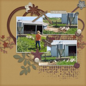 Farming