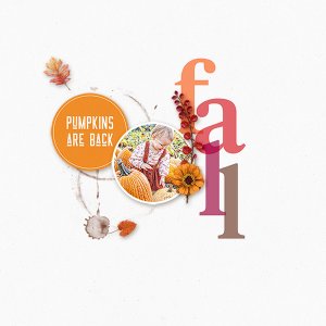 fall