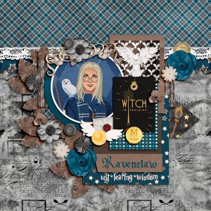 Ravenclaw witch