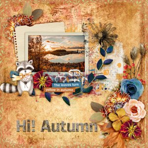 Hi-autumn