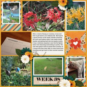 Project 365 - Week 38