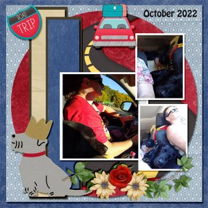 Taz Road Trip