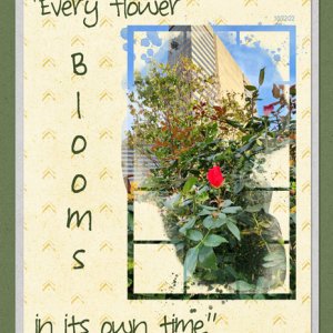 Every Flower