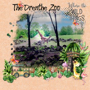 The Zoo at Drente