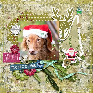 Jolly Memories