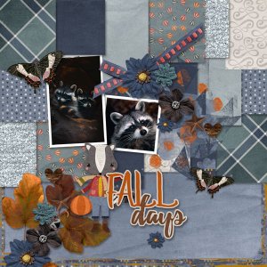 Fall Days