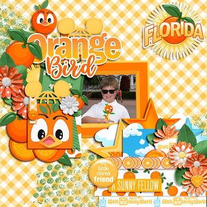 Orange Bird