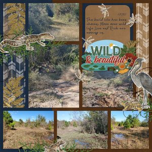 Template is by Designs by Connie Price called Gridlock Vol 11