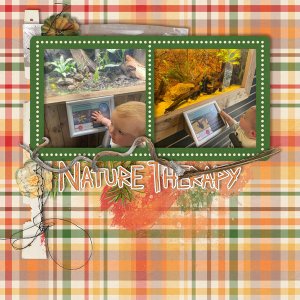 Nature Therapy