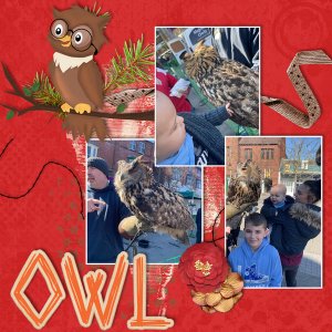 OWL