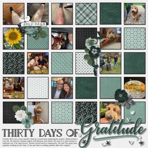 30 Days of Gratitude