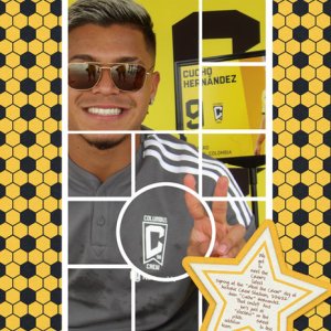 Soccer Star