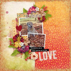 Hi! Autumn by  CarolW Designs