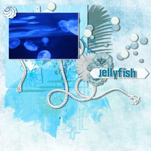 Jellyfish