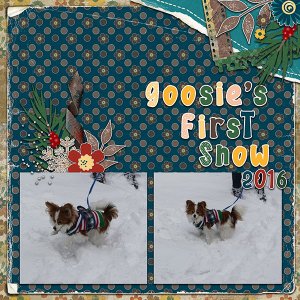 Goosie's First Snow 2016