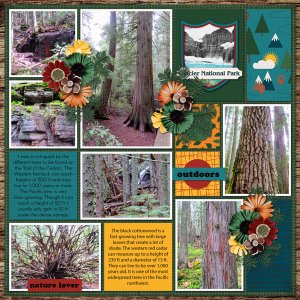 Trail of Cedars
