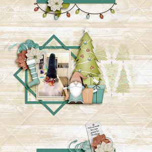 Gnome-decoration