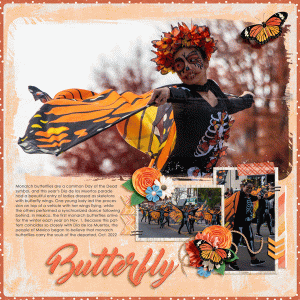 butterfly