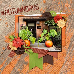 Autumn Days