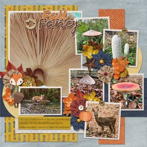 Fall fancy
