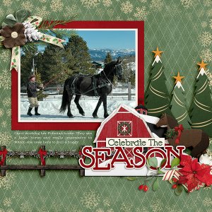 Carols-horse
