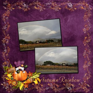 Autumn Rainbow