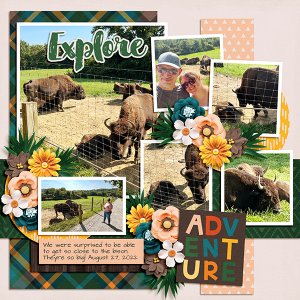 Explore Bison