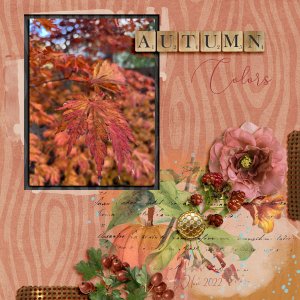 Autumn Colors
