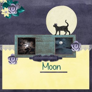 moon8
