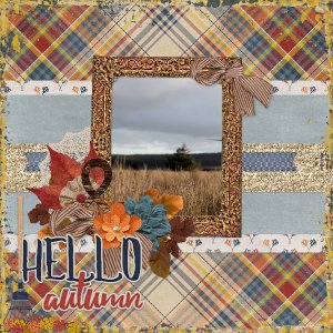 Fall_fancy