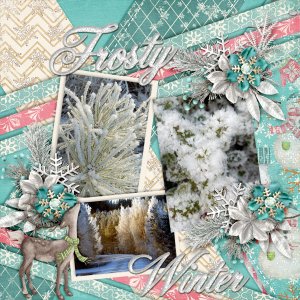 Frosty-winter1