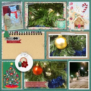 documenting_December