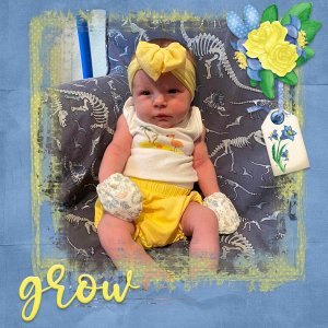 Flowers Are Happiness-ScrapbookCrazy