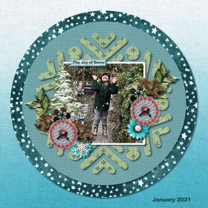 The Joy of Snow