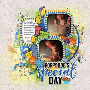Poppy Bob's Special Day