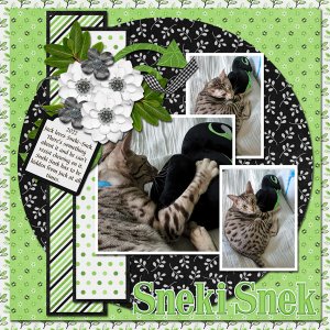 Jack and Sneki-Snek