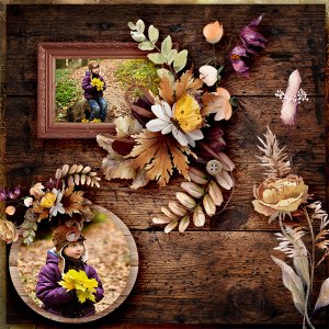 ID_SeasonsChange_01a