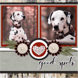 Good Spots