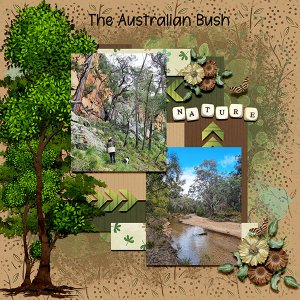 The Australian Bush