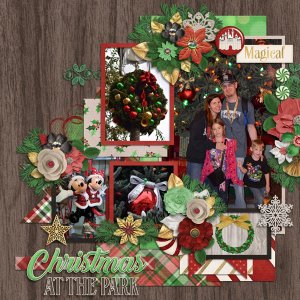 Christmas at the park