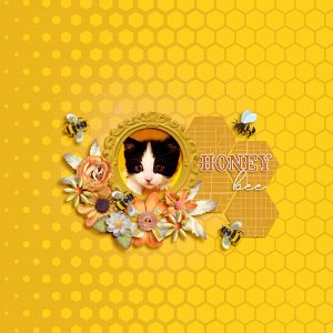 honey bee