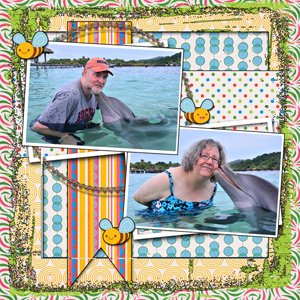 Swimming With The Dolphins