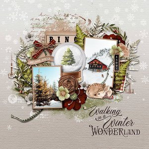 farmhouse winter