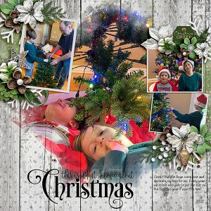 Eli-Decorating-Tree